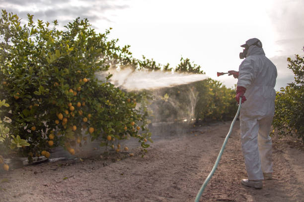 Lamesa, TX Pest Control Company